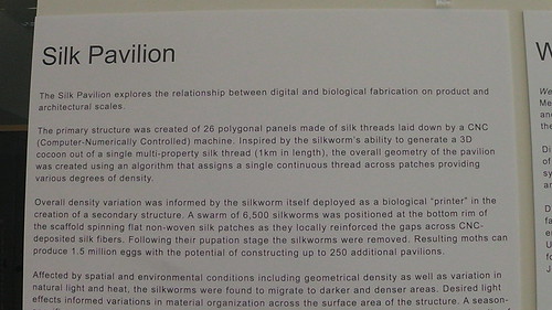 part of the Silk Pavilion description