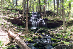 Gunn Brook Falls