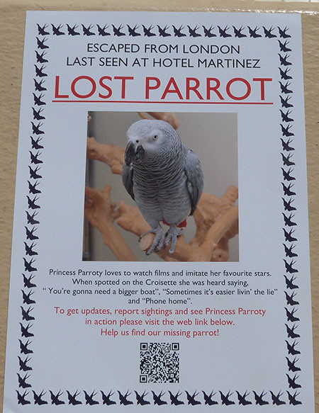 lost parrot