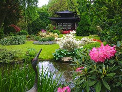 japanese garden - japanische Gärten