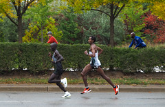 Toronto Marathon 2016