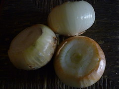 Cultivo de cebolla desde bulbo