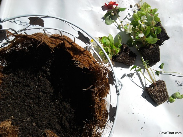 Adding the coconut fiber liner and dirt to the basket and getting ready to arrange the plants inside