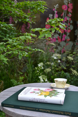 Hollyhock corner in Catherine MacDonald - Susannah Hunter garden at RHS Chelsea 2013