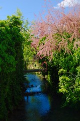 Petit recoin de rivière dans le village (Bucey-les-Gy)