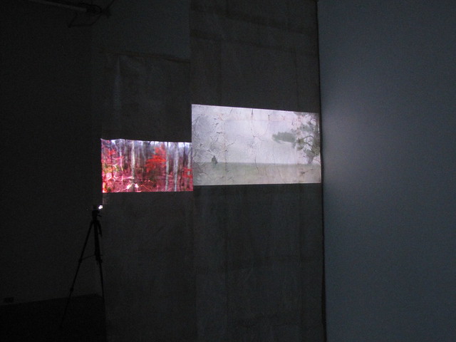 installation projection 2