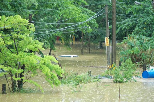 2012年土城彈藥庫淹水畫面。廖崇賢攝。
