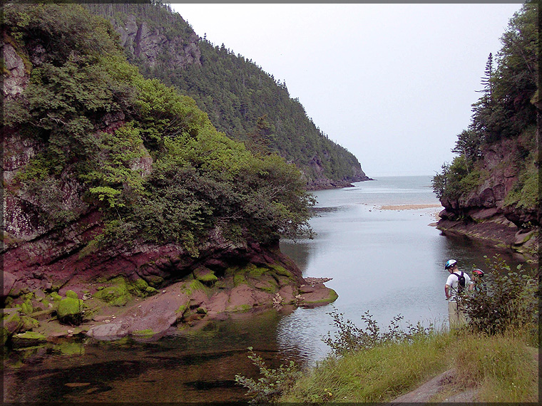 PDRM2631_Fundy_National_Park