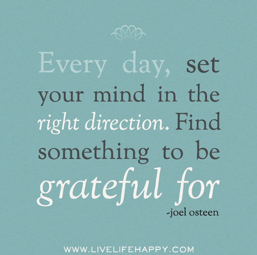 Every day, set your mind in the right direction. Find something to be grateful for. - Joel Osteen