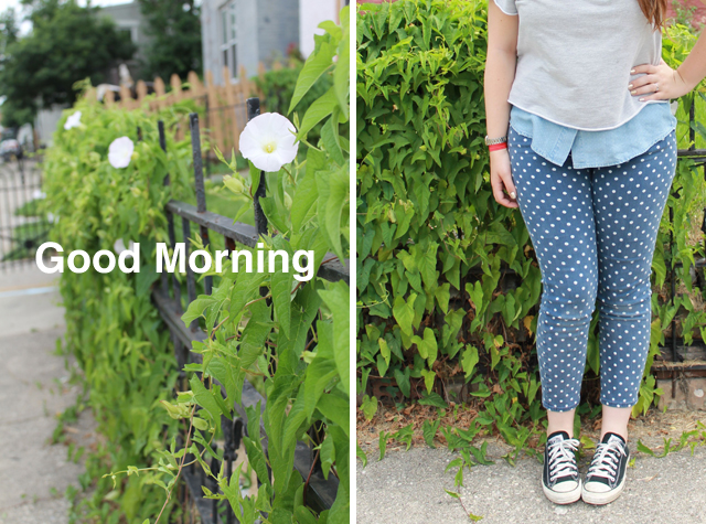 Morning Glory outfit: AG polkadot Stevie ankle jeans from Anthropologie, black Converse lowtop sneakers, sleveless button-down chambray shirt, cropped gray sweatshirt from Stylemint