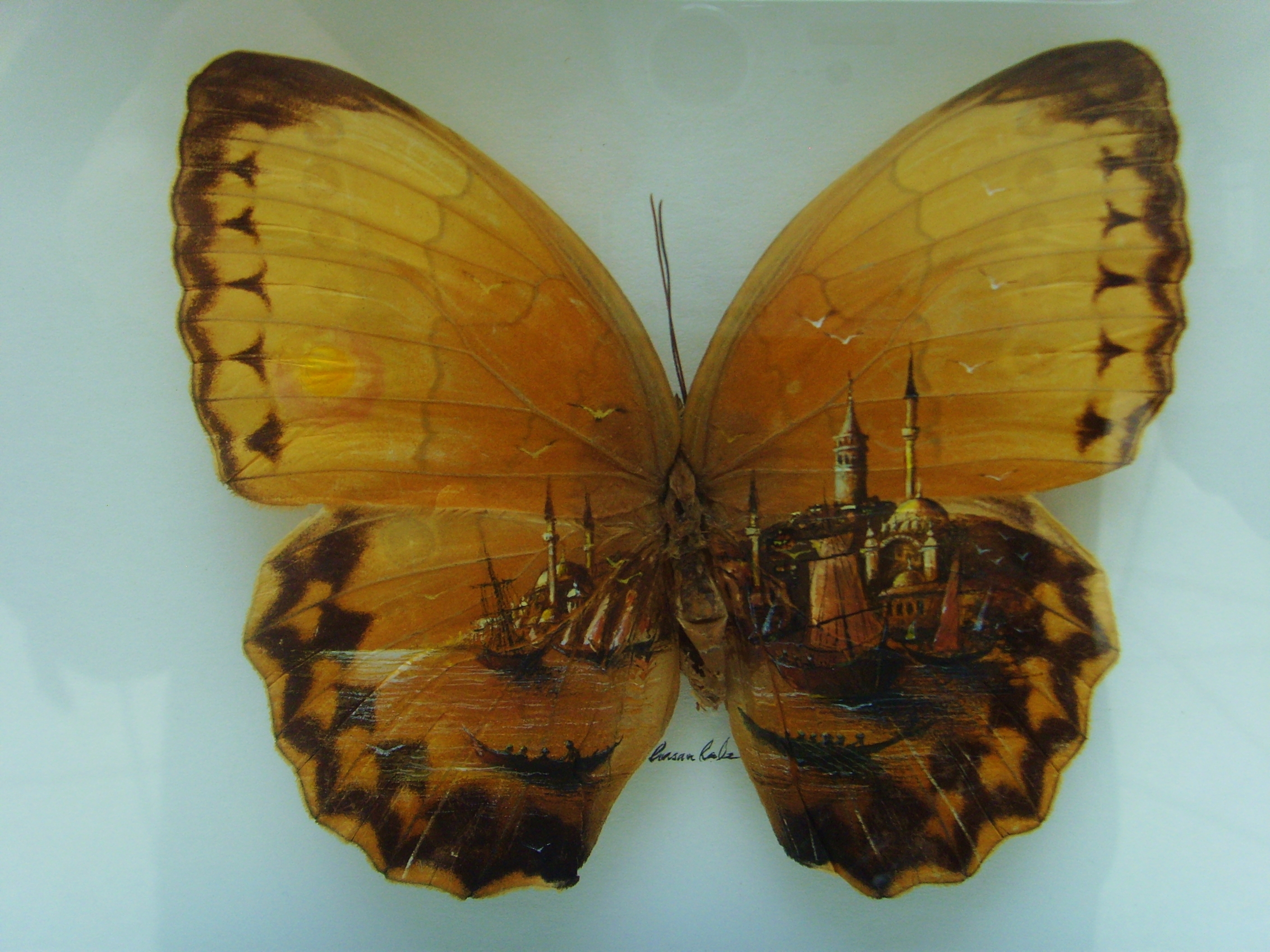 kelebek kanatlarinda istanbul ankara bir avm resim sergisinden resmi yapan sanatciya saygilarimla 04 nisan 2013 by adem akdogan sanatcilar kelebekler resim
