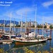 Heritage Harbour - Vancouver Maritime Museum