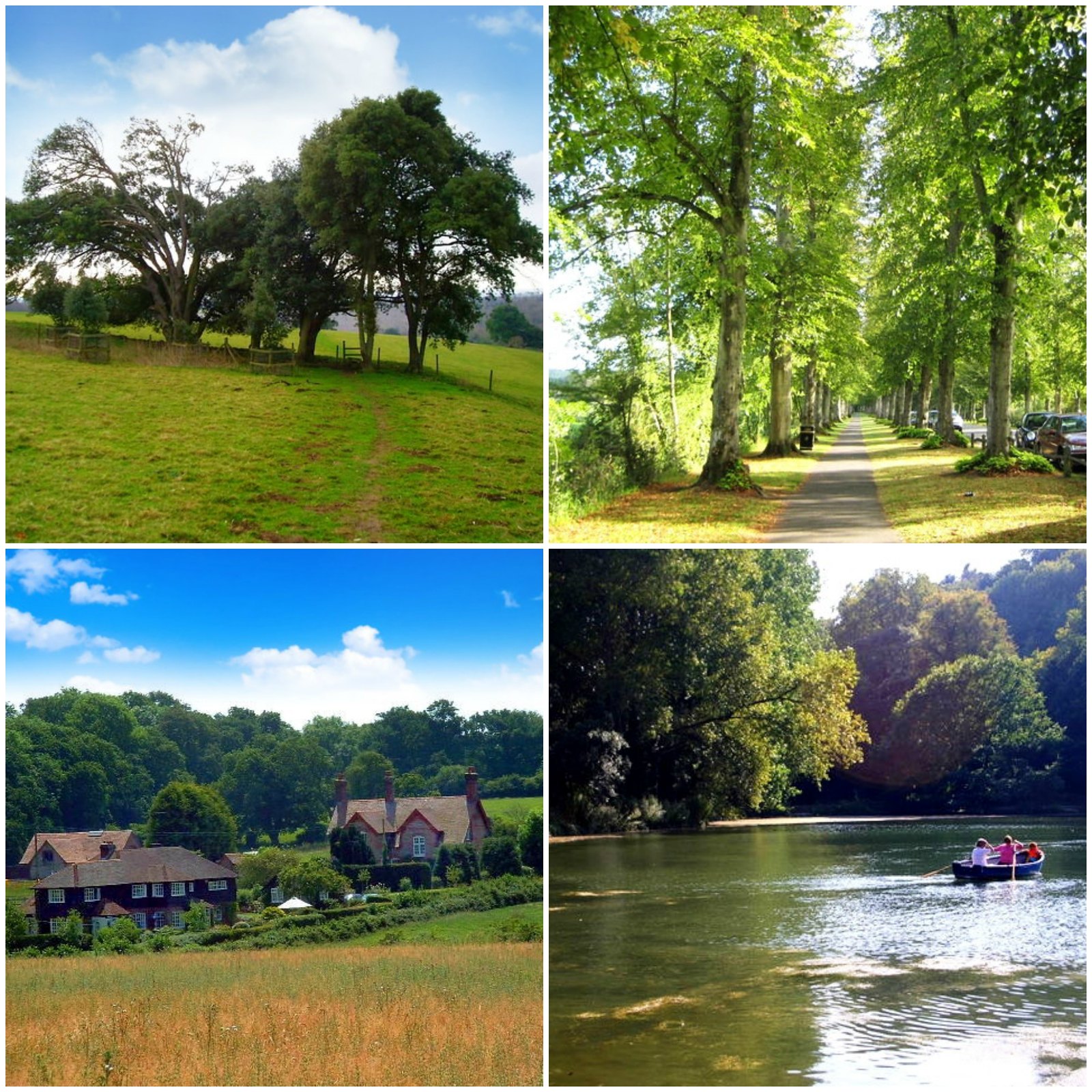 Top right clockwise. Monarch's Way. (Credit Peter Holmes); Mill Road lined with lime trees on both sides (Credit Nigel Cox); Houses at Crossbush (Credit Chris Shaw); Row boats out on Swanbourne Lake (Credit Shaun Ferguson).jpg