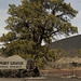 03-16-12: Sunset Crater National Monument