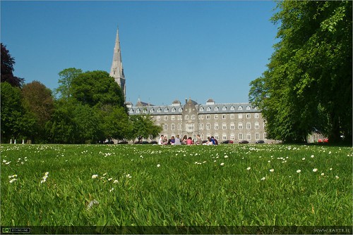 St. Patrick's College lawn