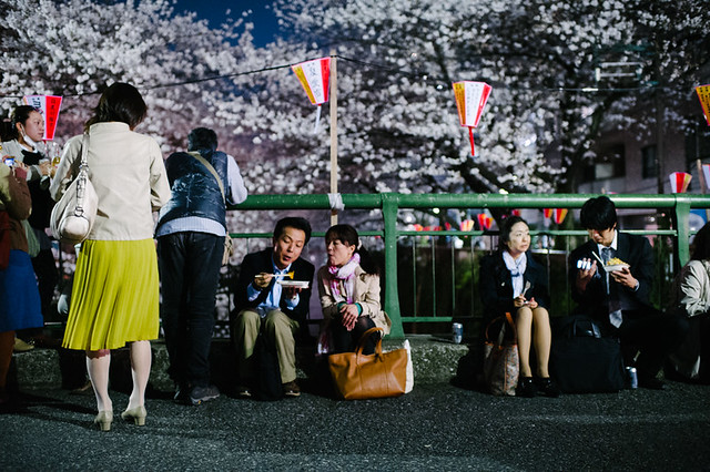 A sakura filled spring in Tokyo 2013