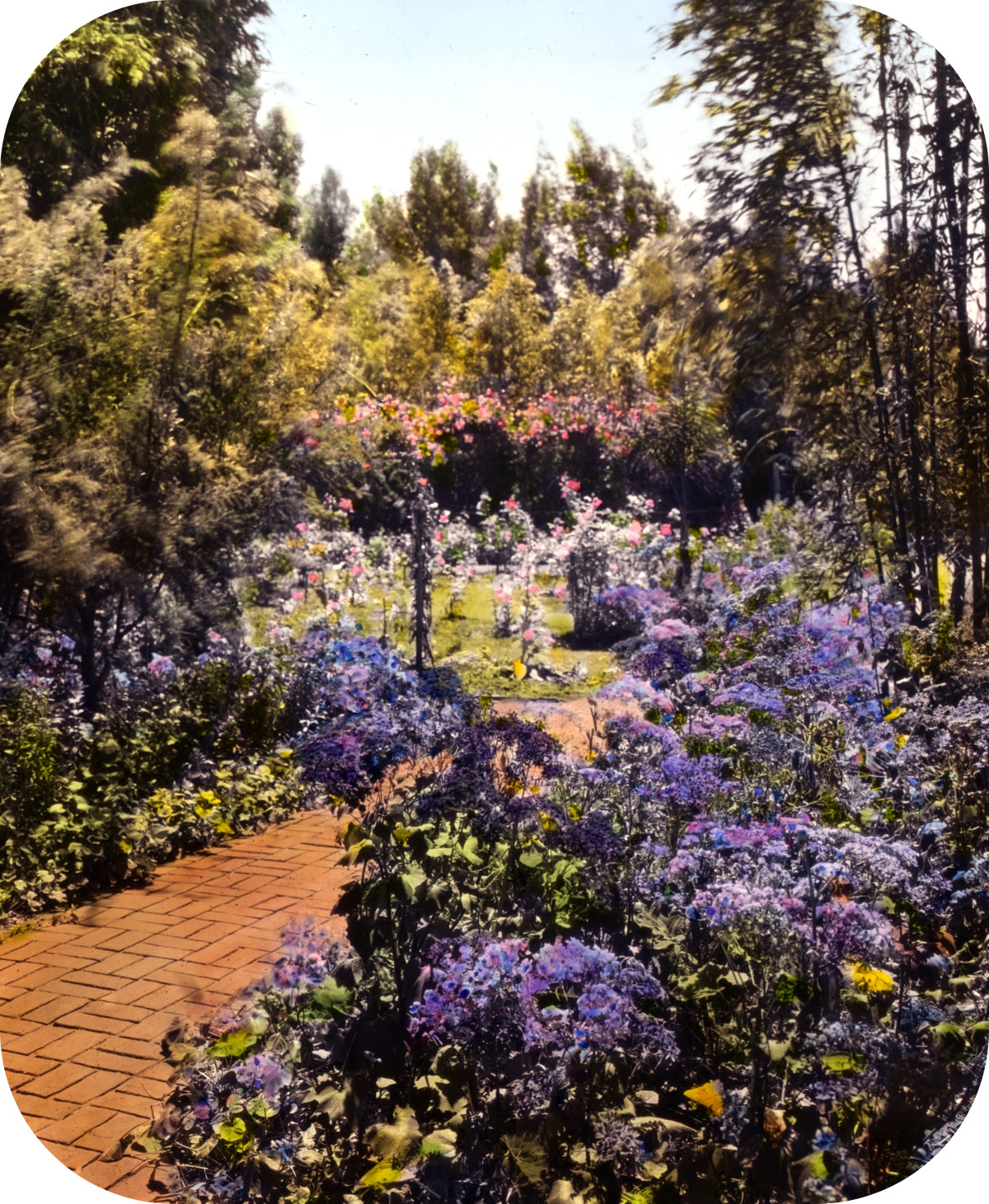 'Senuelo,' Edward Ditmars Wetmore house, 1050 Channel Drive, Montecito, California. Path to rose garden