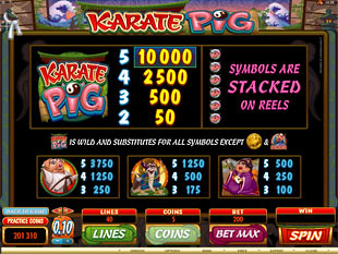 Karate Pig Slots Payout