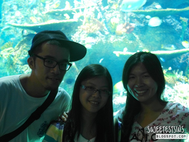 sea aquarium marine life park resort world sentosa singapore (28)