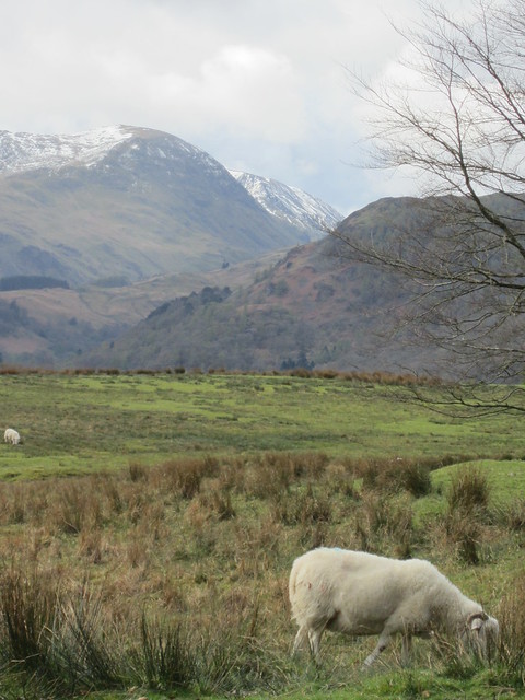 Lake District April 2012 (89)
