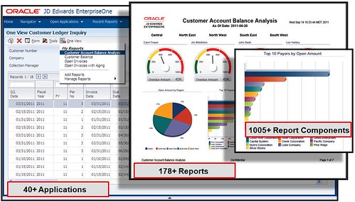 Oracle's JD Edwards EnterpriseOne One View Reporting Screenshot 1