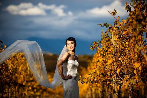 Kim Chin ~ Pre-wedding Photography