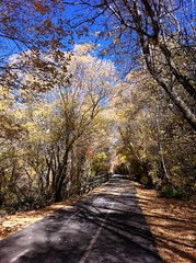 October 19, 2012 (Provo River Trail)