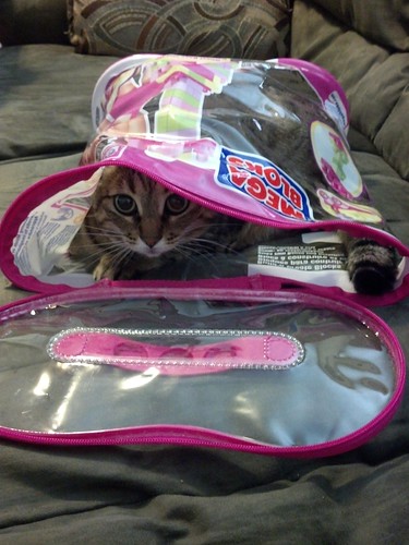 ZOMG, cat in a bag