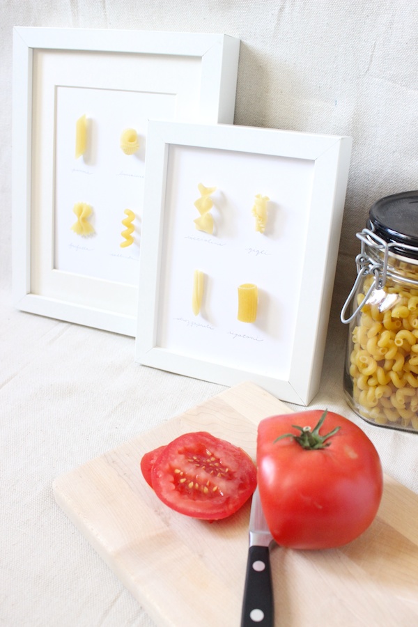 Fabric Paper Glue | DIY Pasta Specimen Art inspired by All You Magazine