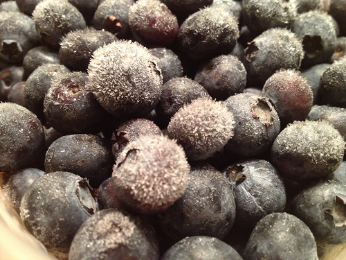 frozen blueberries by Digital Heather