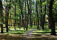 A Walk in the Park Autumn 2016