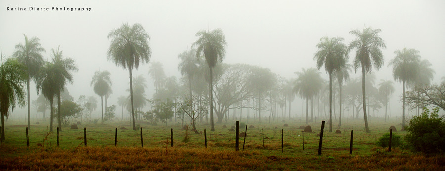 Panorama Niebla en el Amambay