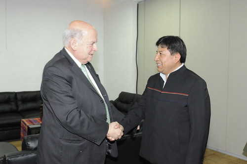 Secretario General Insulza se reunió con el Canciller de Bolivia