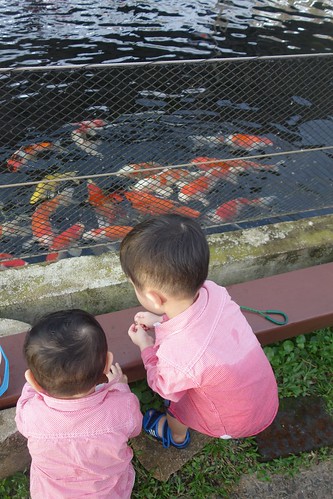 Kids admiring the fishes 