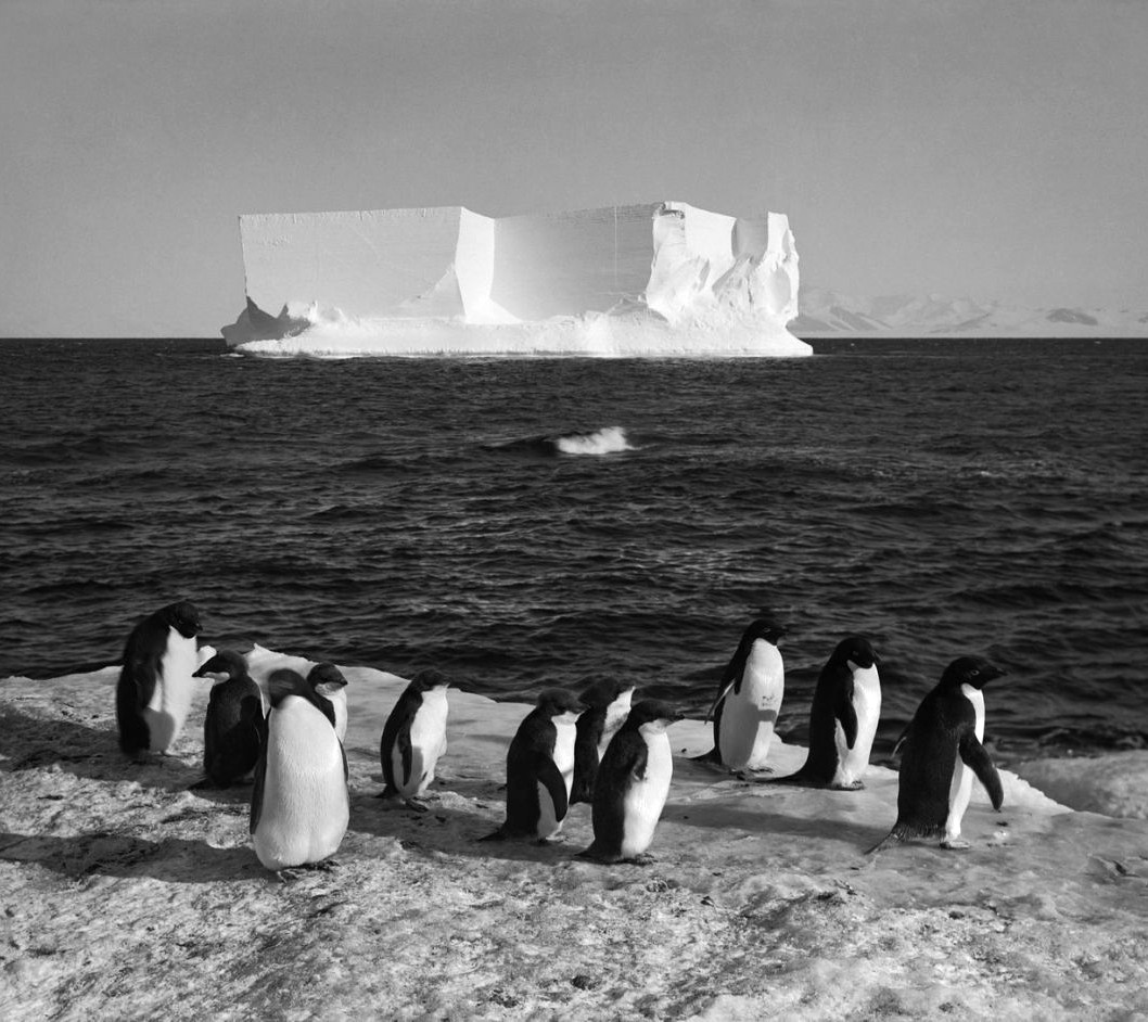 Penguins and a berg at Cape Royds, Scott Expedition, Antarctica