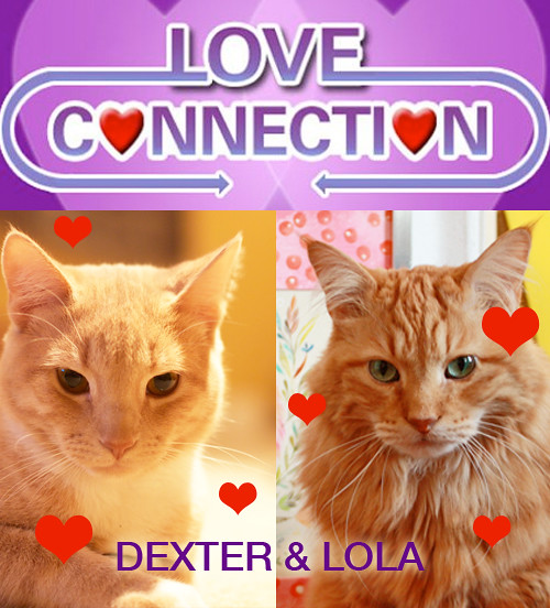 dexter-and-lola