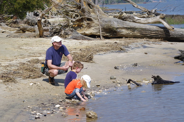 Finding Fossils at York River State Park
