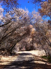 October 29, 2012 (Provo River Trail)