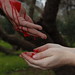 Book Trailer El cenáculo de la sangre
