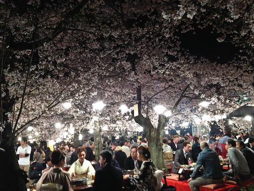 Dinner under the cherry trees