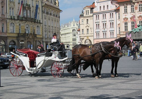 Hevonen ja rattaat Prahan torilla
