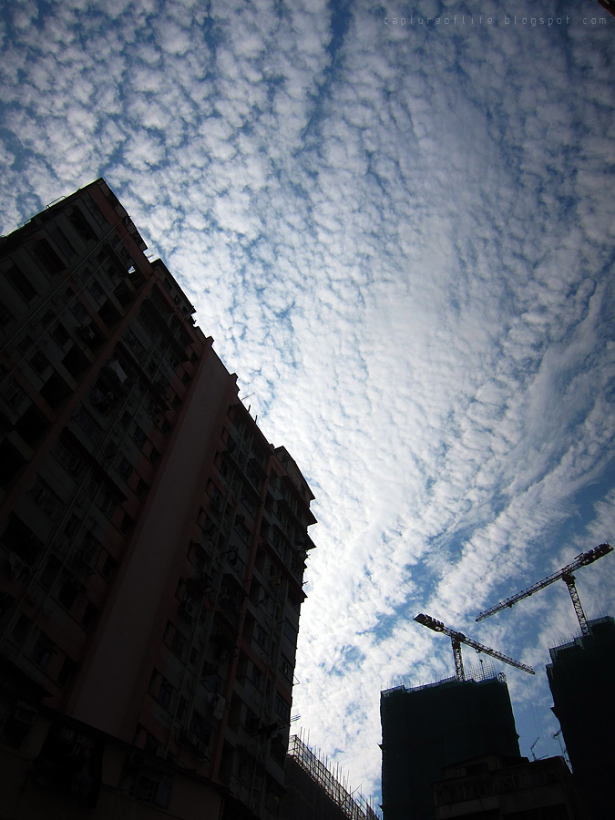 sky in the city
