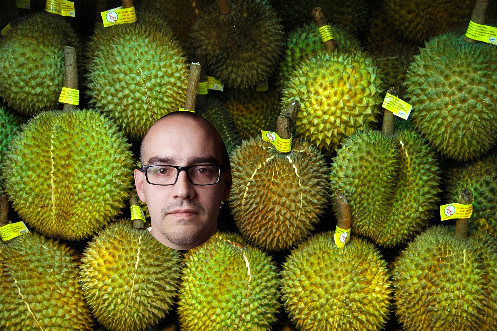 dave mcclure 500 durians