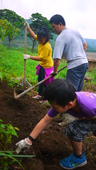 梯田組志工不分年齡，一起為了環境努力工作！