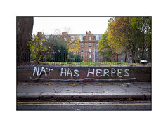Nat Has Herpes