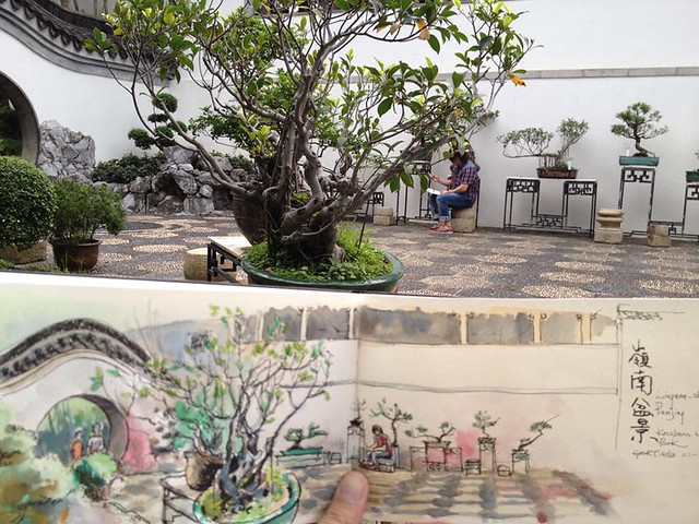 Sketching my Friend with the Bonsai  嶺南盆景
