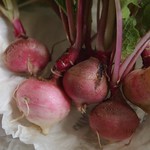 From the garden…Radishes - 1