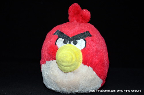 126: (angry) bird by pvera