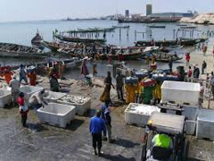 Quai de débarquement de la pêche artisanale à Nouadhibou. Crédit photo : anonyme