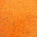 莊家勝‧《橘色菩提樹》‧複合媒材‧50F‧2011
